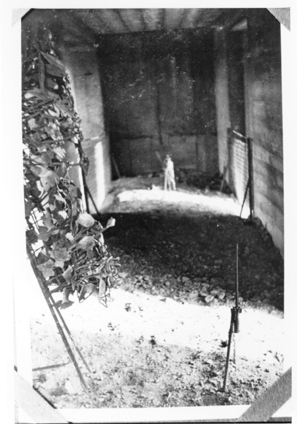 The Trench of Bayonets